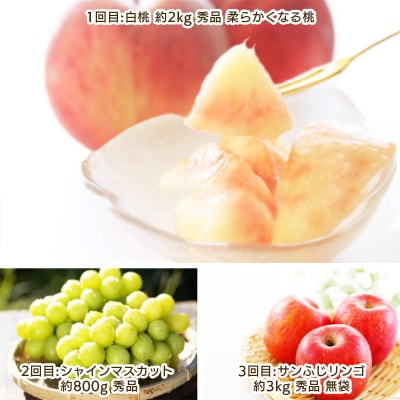 【定期便3回】やまがた こだわりのフルーツ定期便  【令和8年産先行予約】FS25-696 