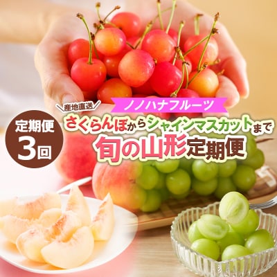 【定期便3回】さくらんぼからシャインマスカットまで旬の山形定期便【令和8年産】FS24-718 