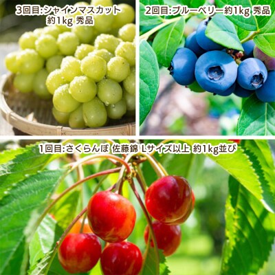 【定期便3回】やまがた 若夏のフルーツ定期便  【令和8年産先行予約】FS25-700 