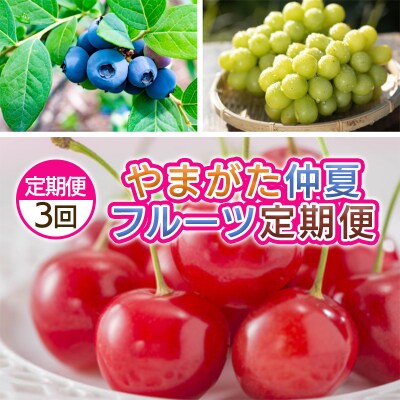 【定期便3回】やまがた 仲夏フルーツ定期便 【令和8年産先行予約】FS25-701