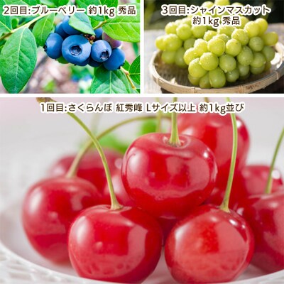 【定期便3回】やまがた 仲夏フルーツ定期便 【令和8年産先行予約】FS25-701