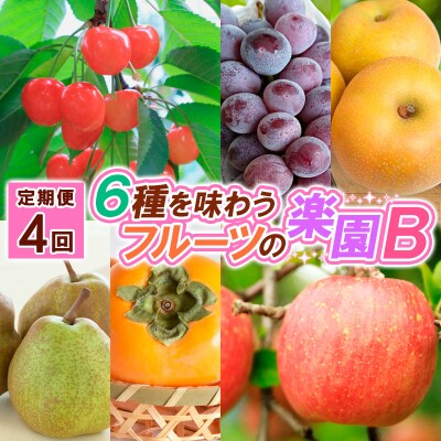 【定期便4回】6種を味わうフルーツの楽園B【令和8年産先行予約】FS25-622