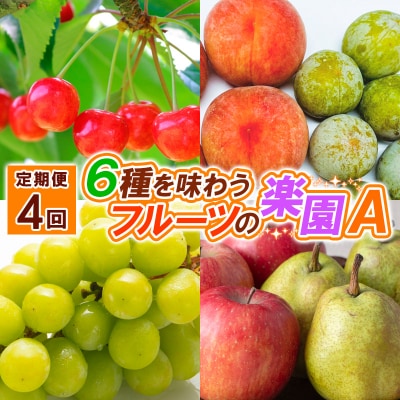 【定期便4回】6種を味わうフルーツの楽園A【令和8年産先行予約】FS25-623 