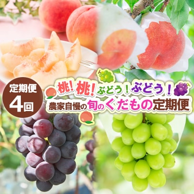 【定期便4回】桃!桃!ぶどう!ぶどう!農家自慢の旬のくだもの定期便 【令和8年産】FS24-720