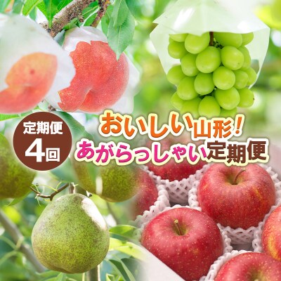 【定期便4回】おいしい山形! あがらっしゃい定期便 【令和8年産先行予約】FS24-721