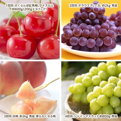 【定期便4回】やまがた 盛夏フルーツ定期便 【令和8年産先行予約】 FS25-660