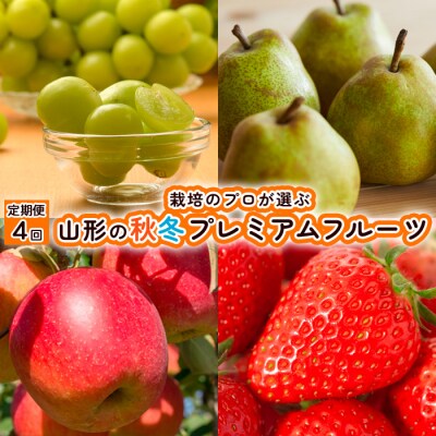 【定期便4回】栽培のプロが選ぶ山形の秋冬プレミアムフルーツ 【令和8年産先行予約】FU21-946 