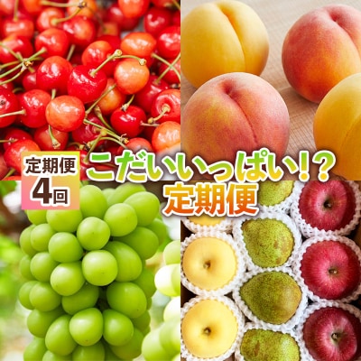 【定期便4回】こだいいっぱい!? 定期便 【令和8年産先行予約】FS25-652