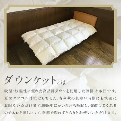 羽毛肌掛けふとん シングル[150cm×210cm] FY25-361