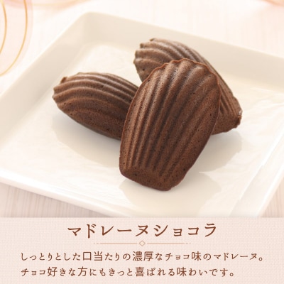 ノートルメチエ詰合せ(マドレーヌ・マドレーヌショコラ・プレミアムフィナンシェ ) FY25-415