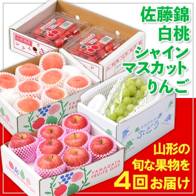【定期便4回】☆フルーツ王国山形☆佐藤錦・白桃・シャインマスカット・りんご  FY25-358