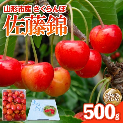 さくらんぼ 佐藤錦 500g 特秀 【令和8年産先行予約】FS25-143