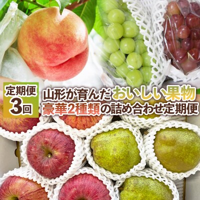 【定期便3回】山形が育んだおいしい果物 豪華2種類のセット【令和8年産先行予約】FS25-139