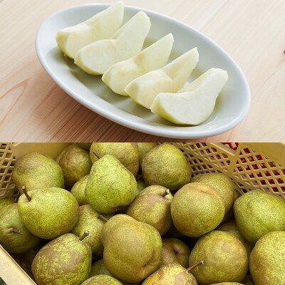 【定期便2回】やまがた洋梨 マリゲットマリーラ&ラフランス食べ比べ定期便 FS25-140