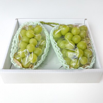 はじける美味しさ!山形の朝どりシャインマスカット 800g～1kg 1～2房 FS25-134