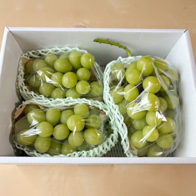 はじける美味しさ!山形の朝どりシャインマスカット 約1.4kg 2～3房 FS25-135