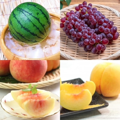 【定期便8回】フルーツちょこっと【令和8年産先行予約】FS25-137