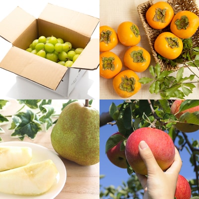 【定期便8回】フルーツちょこっと【令和8年産先行予約】FS25-137