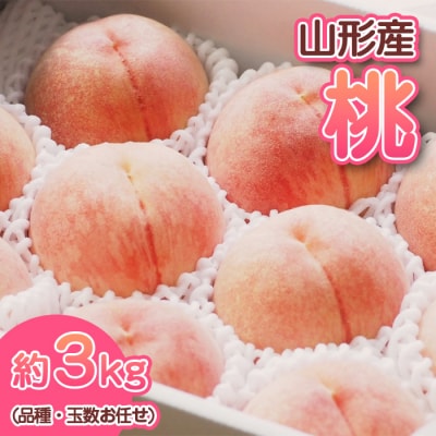 山形産 もも (品種・玉数お任せ) 【令和8年産先行予約】FS23-711