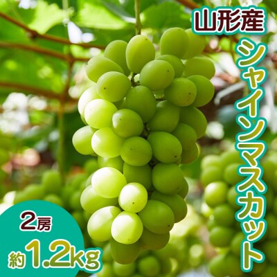 山形産 ぶどう シャインマスカット 【令和8年産先行予約】FS23-712
