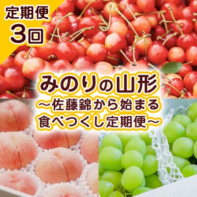 【定期便3回】みのりの山形～佐藤錦から始まる食べつくし定期便～ 【令和8年産】FU23-708