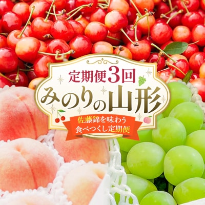 【定期便3回】みのりの山形～佐藤錦を味わう食べつくし定期便～  FY23-908