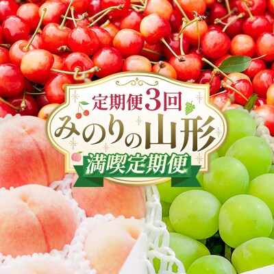 【定期便3回】みのりの山形～満喫定期便～ FY23-905