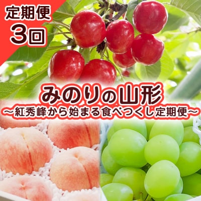 【定期便3回】みのりの山形～紅秀峰から始まる食べつくし定期便～ 【令和8年産】FS23-707