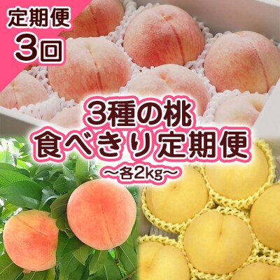 【定期便3回】3種の桃　食べきり定期便～各2kg～ 【令和8年産先行予約】FS23-706