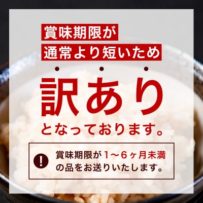 【訳あり】やまがた玄米パックごはん 150g×27個(つや姫) FZ25-340