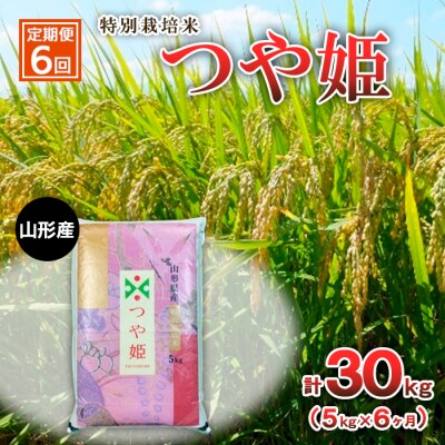 【定期便6回】特別栽培米 つや姫 5kg×6ヶ月(計30kg) FZ23-851