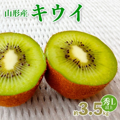 山形産キウイ秀品L以上　20～30玉約3.5キロ【令和8年産先行予約】FS25-766