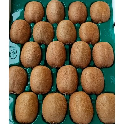 山形産キウイ秀品L以上　20～30玉約3.5キロ【令和8年産先行予約】FS25-766