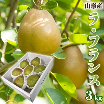 山形のラ・フランス 秀 約3kg(6～9玉 3L～6L)[11月発送]FS25-778