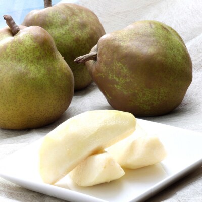 山形のラ・フランス 秀 約3kg(6～9玉 3L～6L)[12月発送]FS25-779