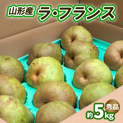 ラ・フランス 約5kg 秀品 (10～16玉) 3L～6L [11月発送]FS25-742