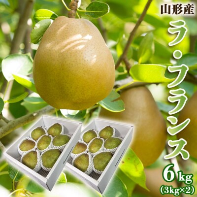 山形のラ・フランス 秀 約6kg(12～18玉・3L～6L)[11月発送]FS25-784