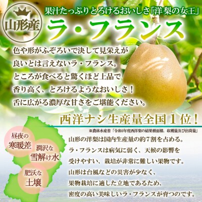 山形の洋梨 ラフランス 優品 約3kg 16玉(4個入×4P)[12月発送]FS25-787