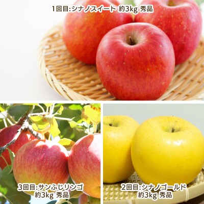 【定期便3回】りんご好きのためのやまがたりんご定期便【令和8年産先行予約】FS25-749