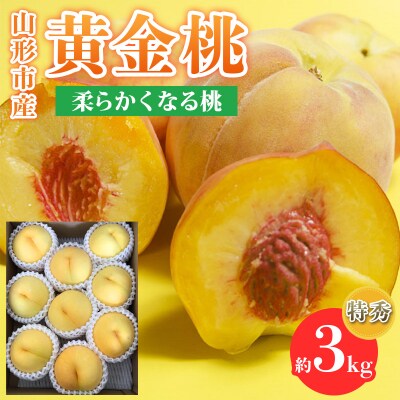 山形市産黄金桃 特秀品 [柔らかくなる桃] 3kg(7～13玉)【令和8年産】FS25-147
