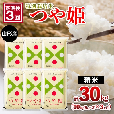 【定期便3回】山形産 特別栽培米 つや姫 10kg (5kg×2)x3ヶ月 FZ26-771