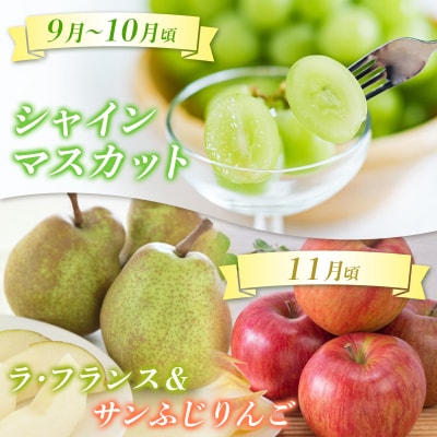 【定期便4回】☆んま～い山形☆5種フルーツ!4回楽しむ!定期便A FY25-473