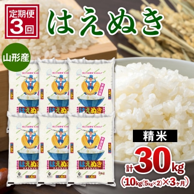 【定期便3回】山形産 はえぬき 10kg(5kg×2)x3ヶ月(計30kg) FZ26-775