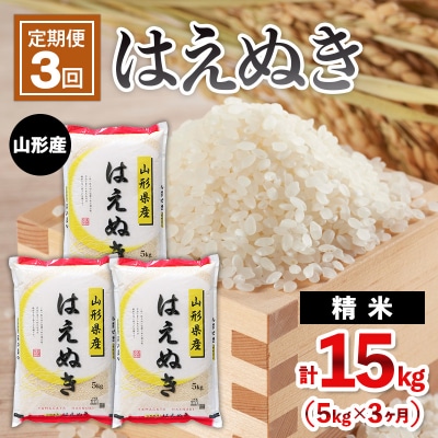 【定期便3回】山形産 はえぬき 5kg×3ヶ月(計15kg) FY25-483