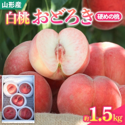 白桃おどろき 約1.5kg[硬めの桃]【令和8年産先行予約】FS25-148