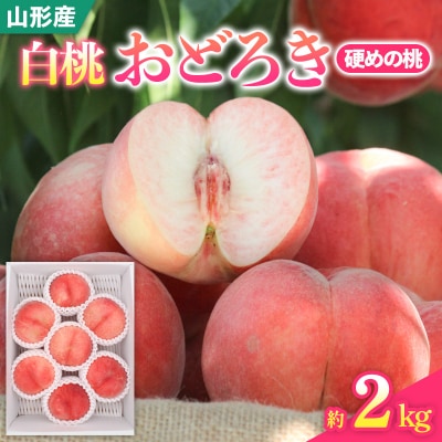白桃おどろき 約2kg[硬めの桃]【令和8年産先行予約】FS25-149