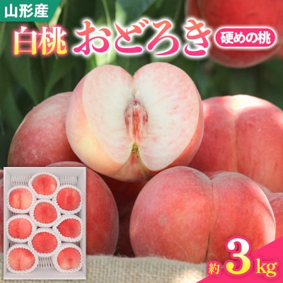 白桃おどろき 約3kg[硬めの桃]【令和8年産先行予約】FS25-150