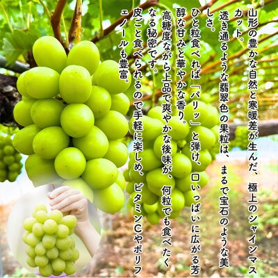 みちのく果実帖 シャインマスカット3房 約1.9kg 【令和8年産先行予約】FS25-151