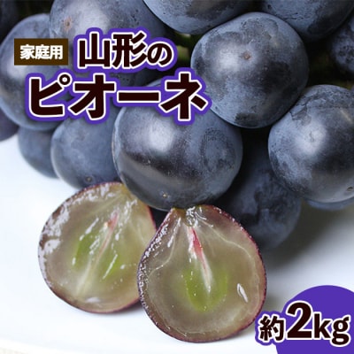 【ご家庭用】山形のピオーネ優品約2kg【8月発送】【令和8年産先行予約】FS25-152