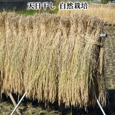 【令和7年産】天日干しの手間をかけた (はえぬき) 丹野さん家のコメ 精米 2kg FY25-355